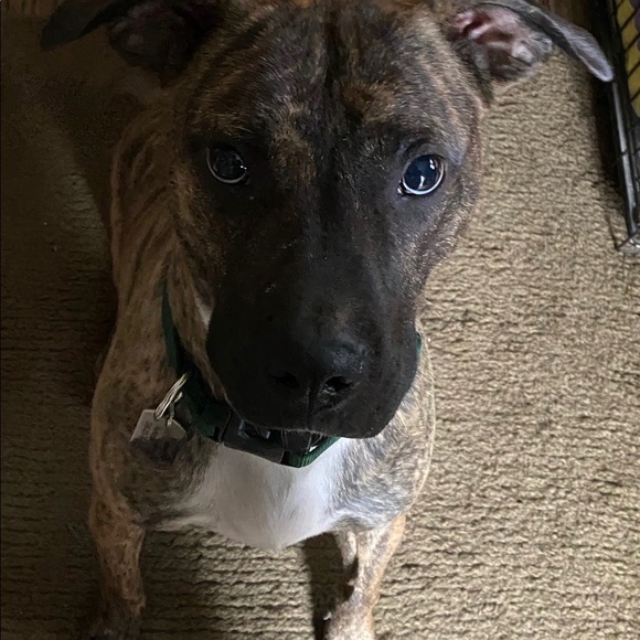 Meet your Posher, irisincorporated - Picture 11 of 16